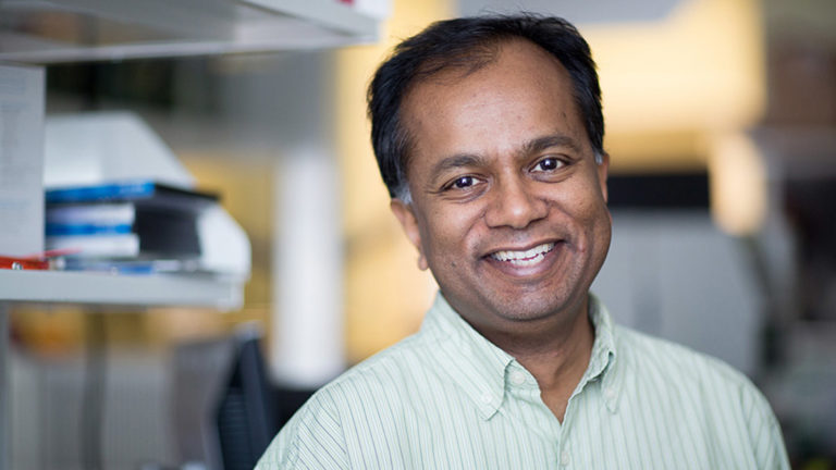 A portrait of Ram Sasisekharan