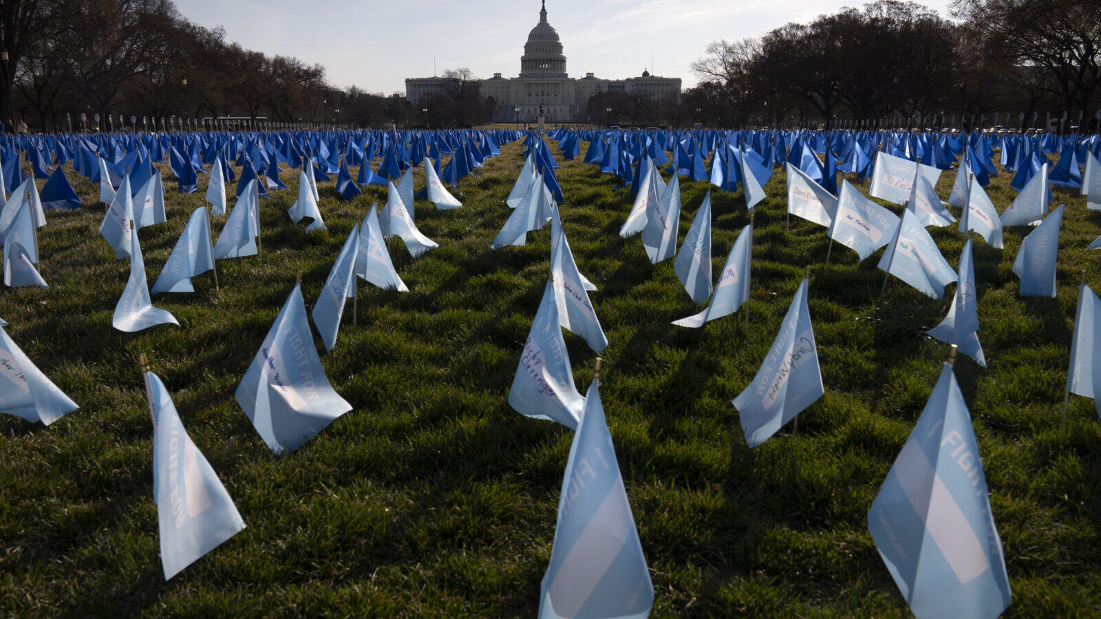 Rows of blue flags on the National Mall near the Capitol to advocate for research on colorectal cancer.