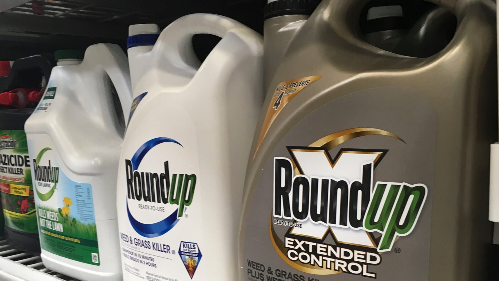 Jugs of Roundup line a store shelf.