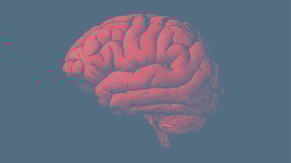 AdobeStock_127445117-1600x900-jpeg