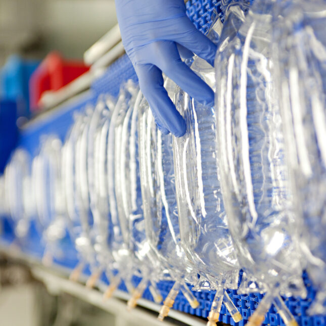 AdobeStock_332795223-e1694626567526-645x645