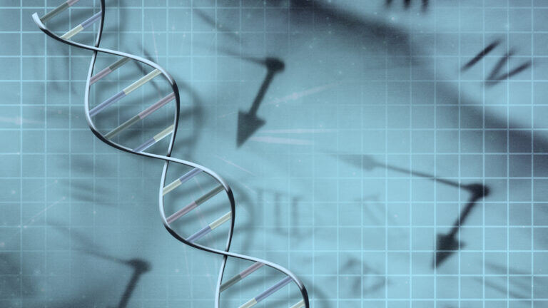 AdobeStock_39985961-768x432