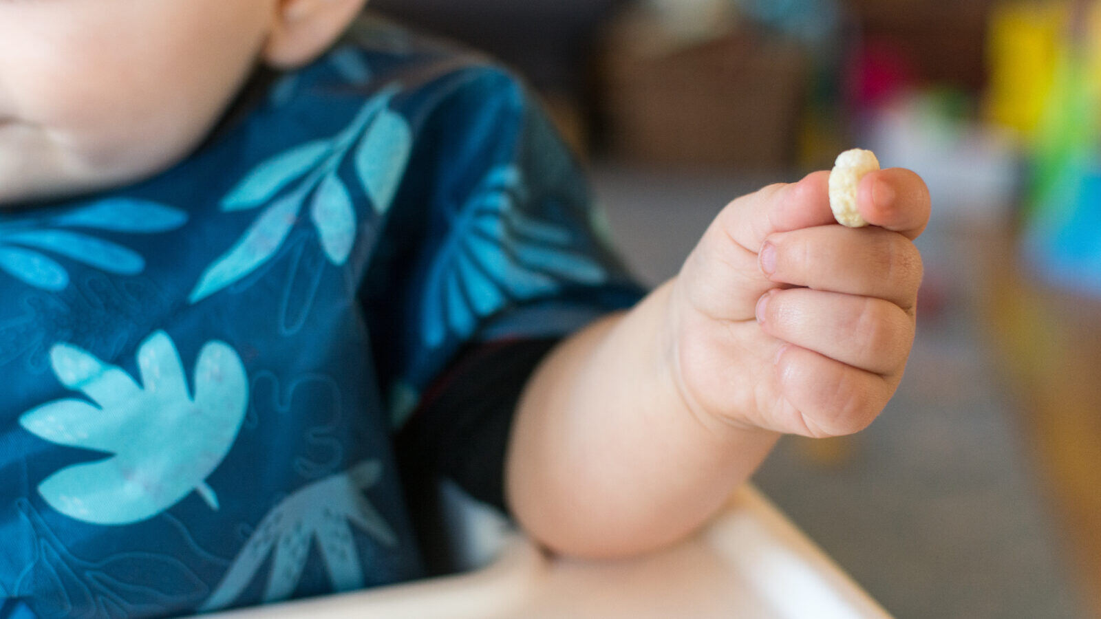 A toddler holds a cereal puff, sitting in a high chair