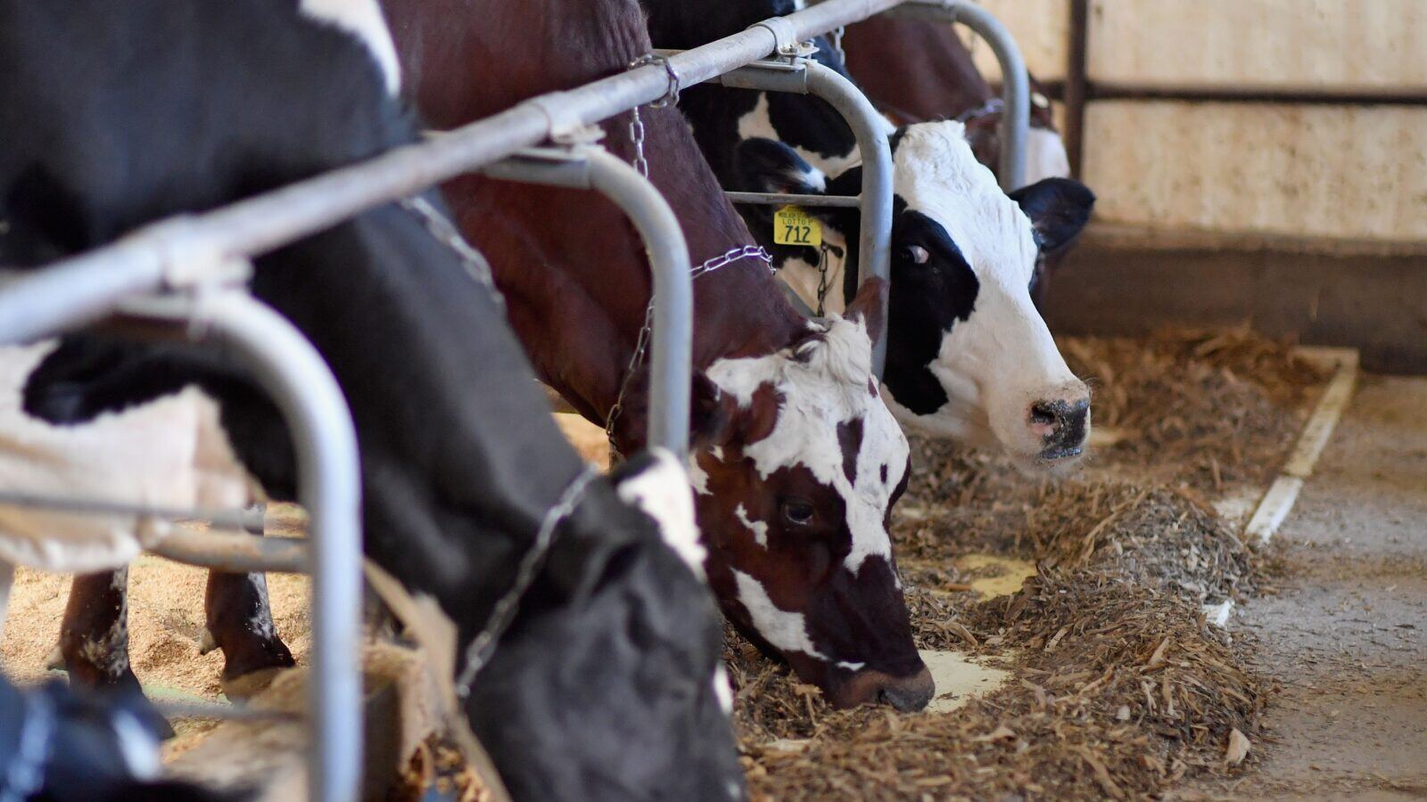 GettyImages-1197817881-1600x900