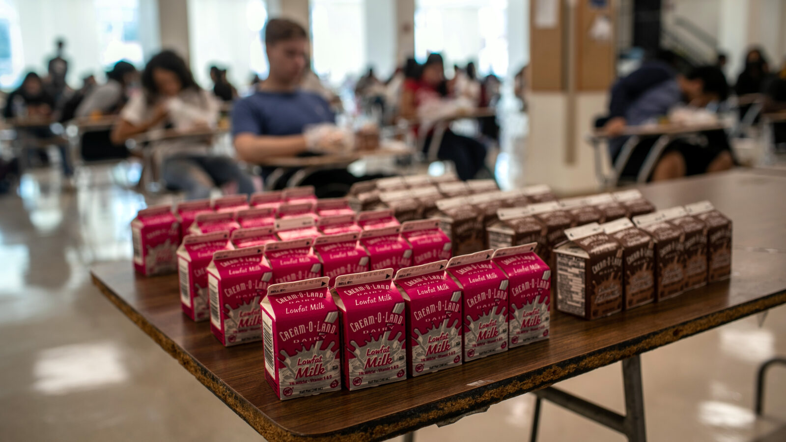 Milk cartons lined up on a school table