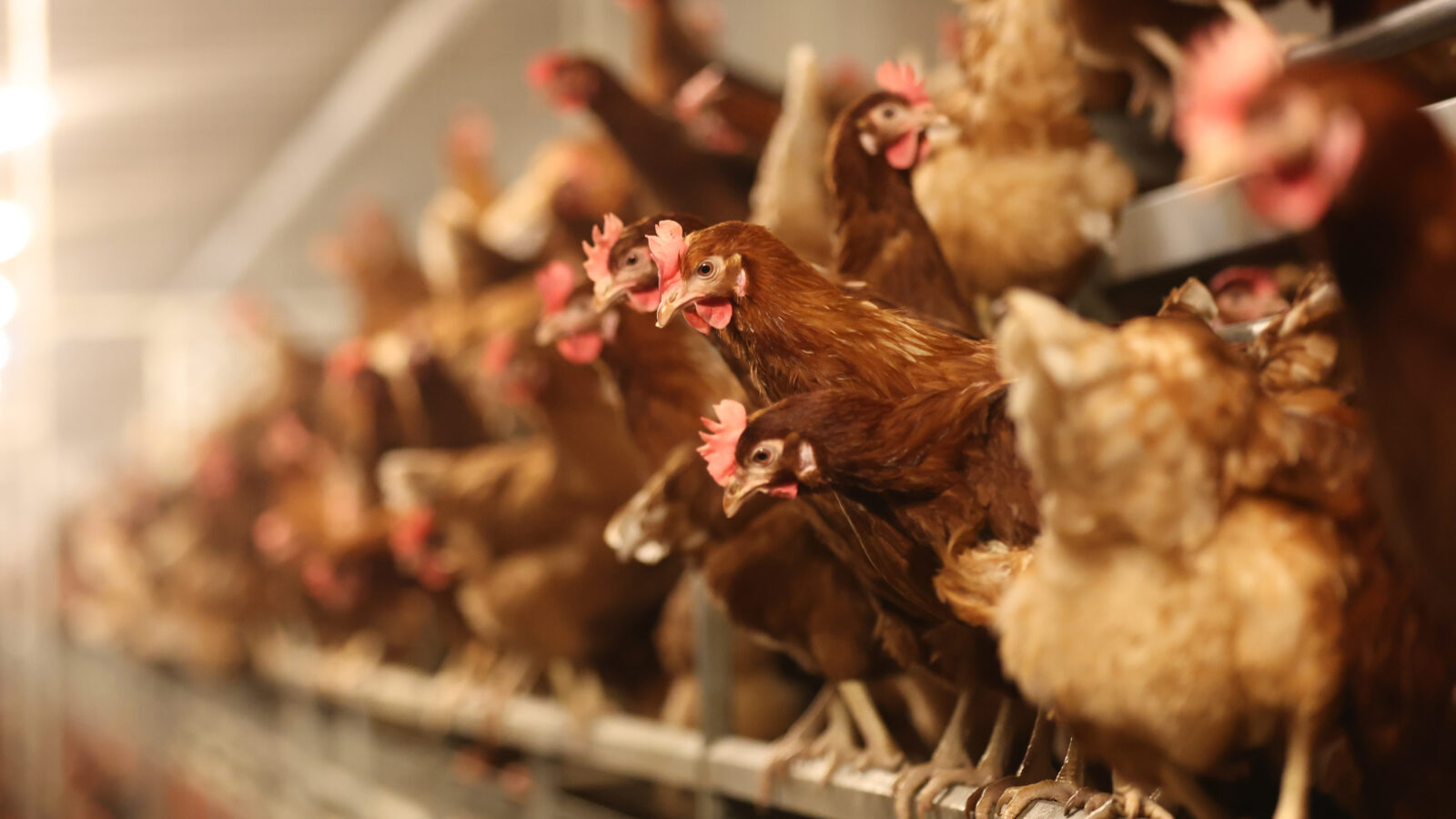 GettyImages-1468883175-1600x900