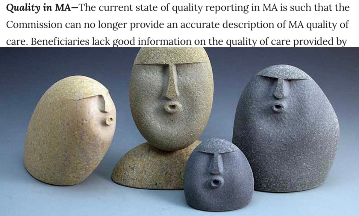 Health Care Inc. Meme - Issue 36