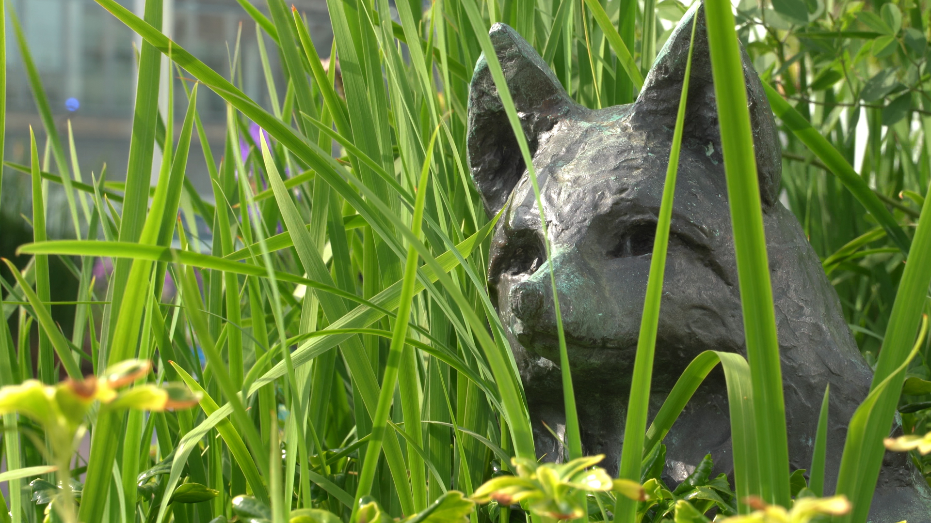 0453_BCH-gardens-STILL