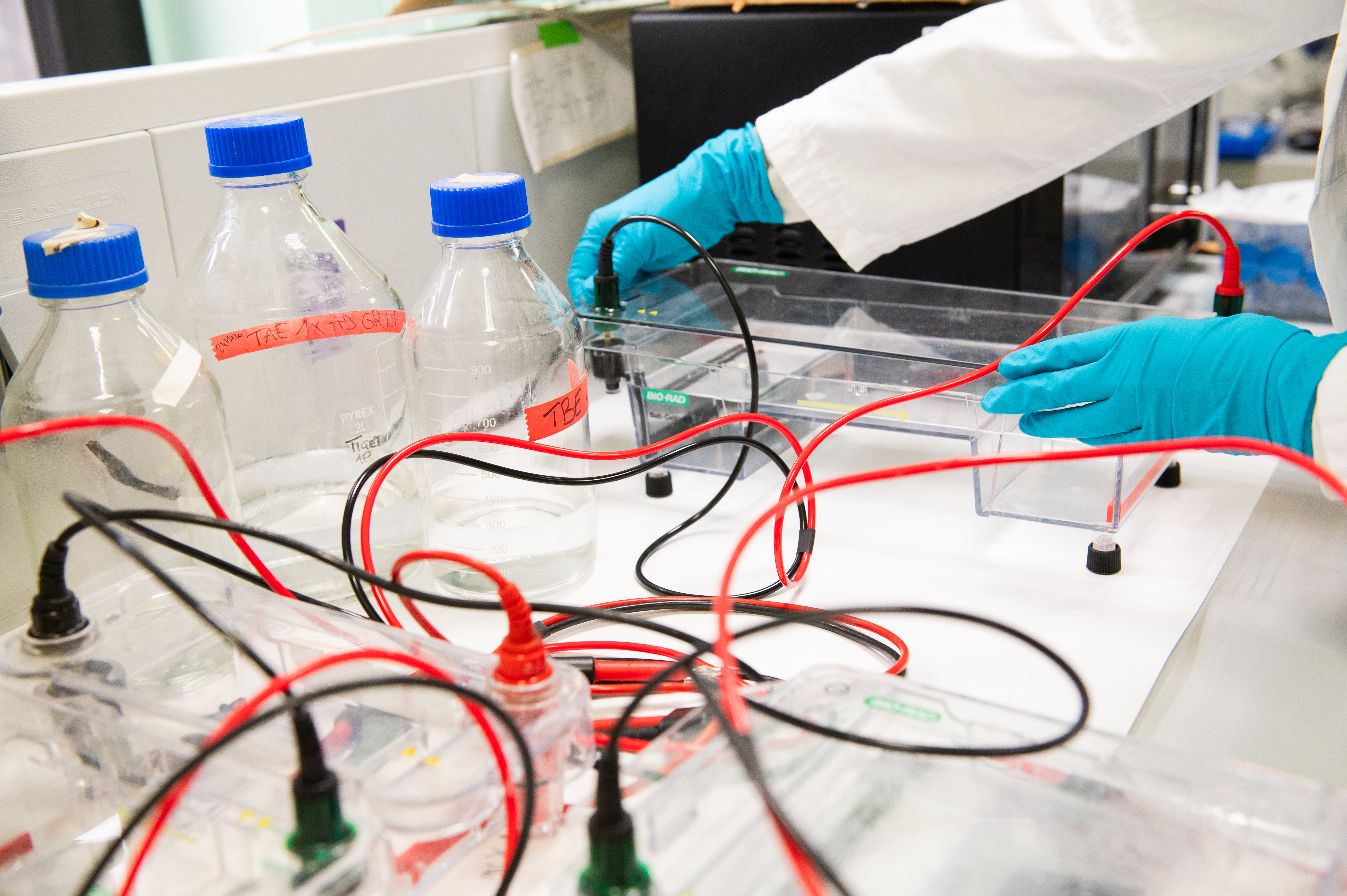 AgneseMorganti_SRTIGET_18