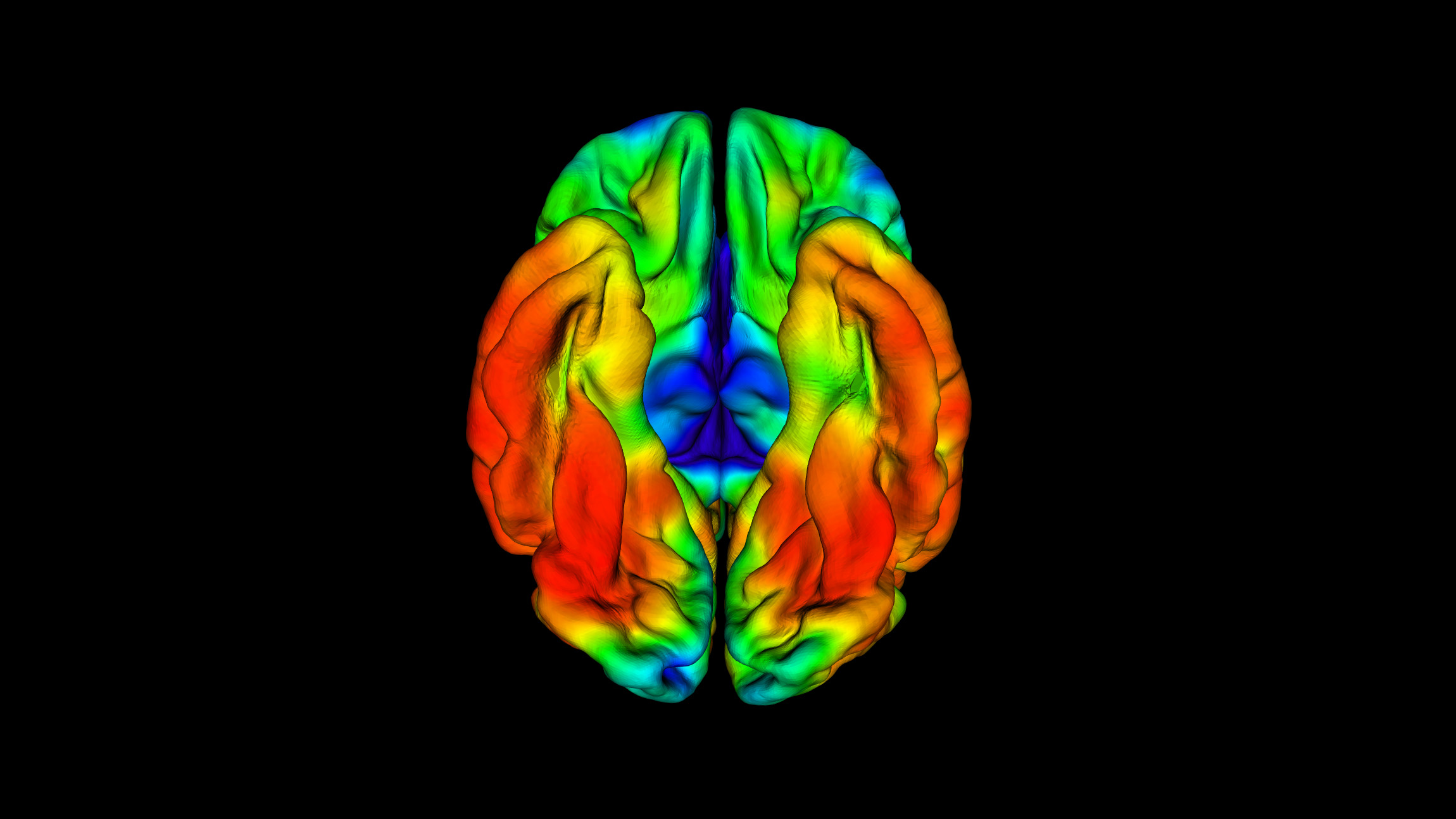 COLBOS_BrainImage