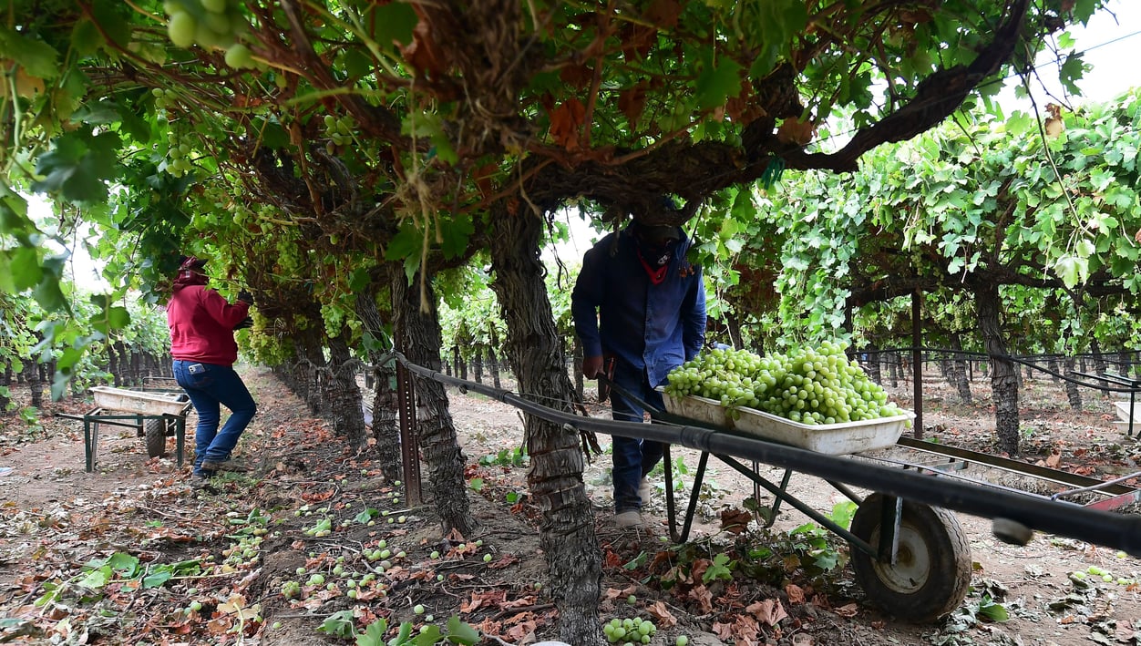 GettyImages-1236173213