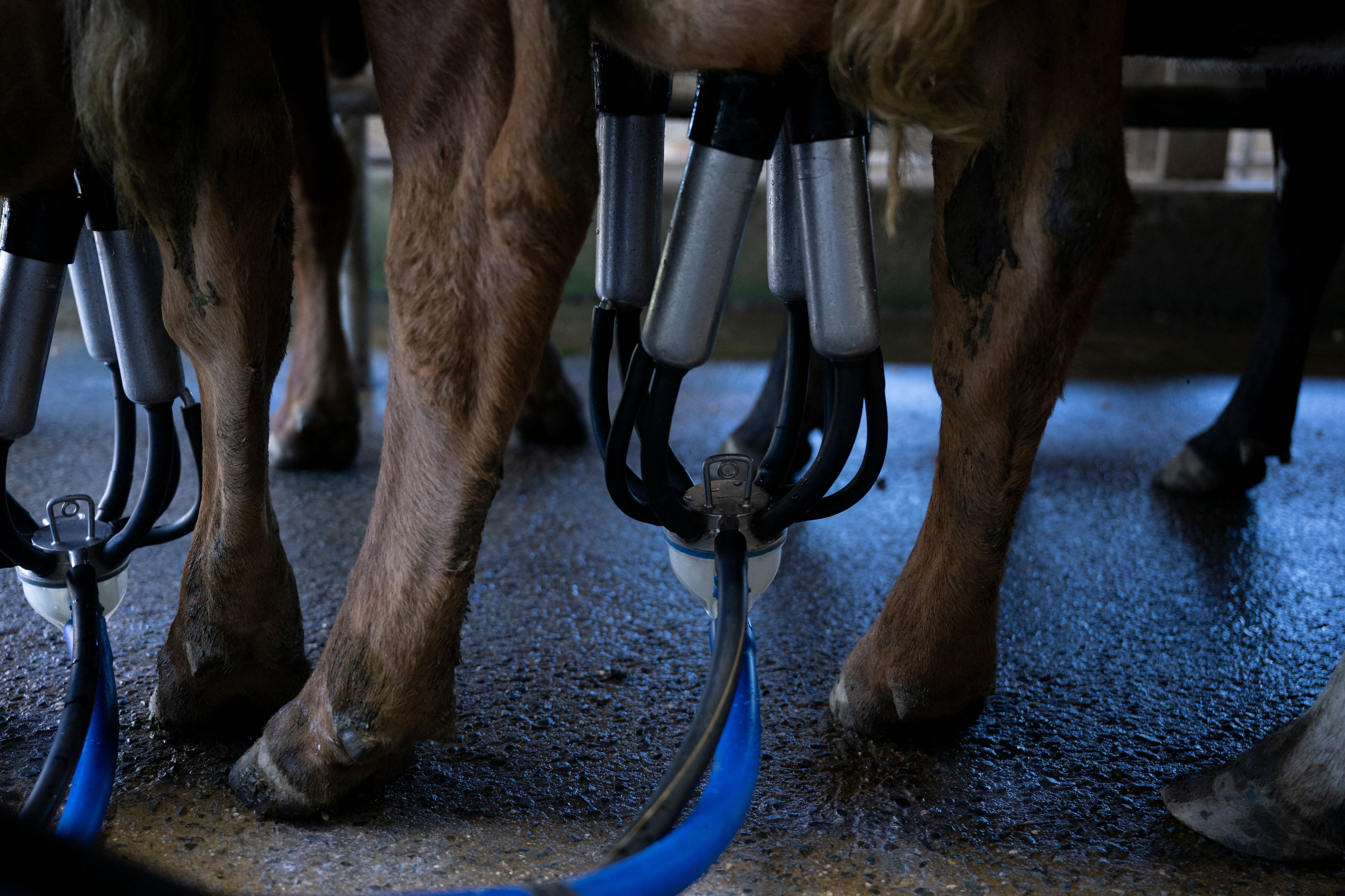 GettyImages-1244715733