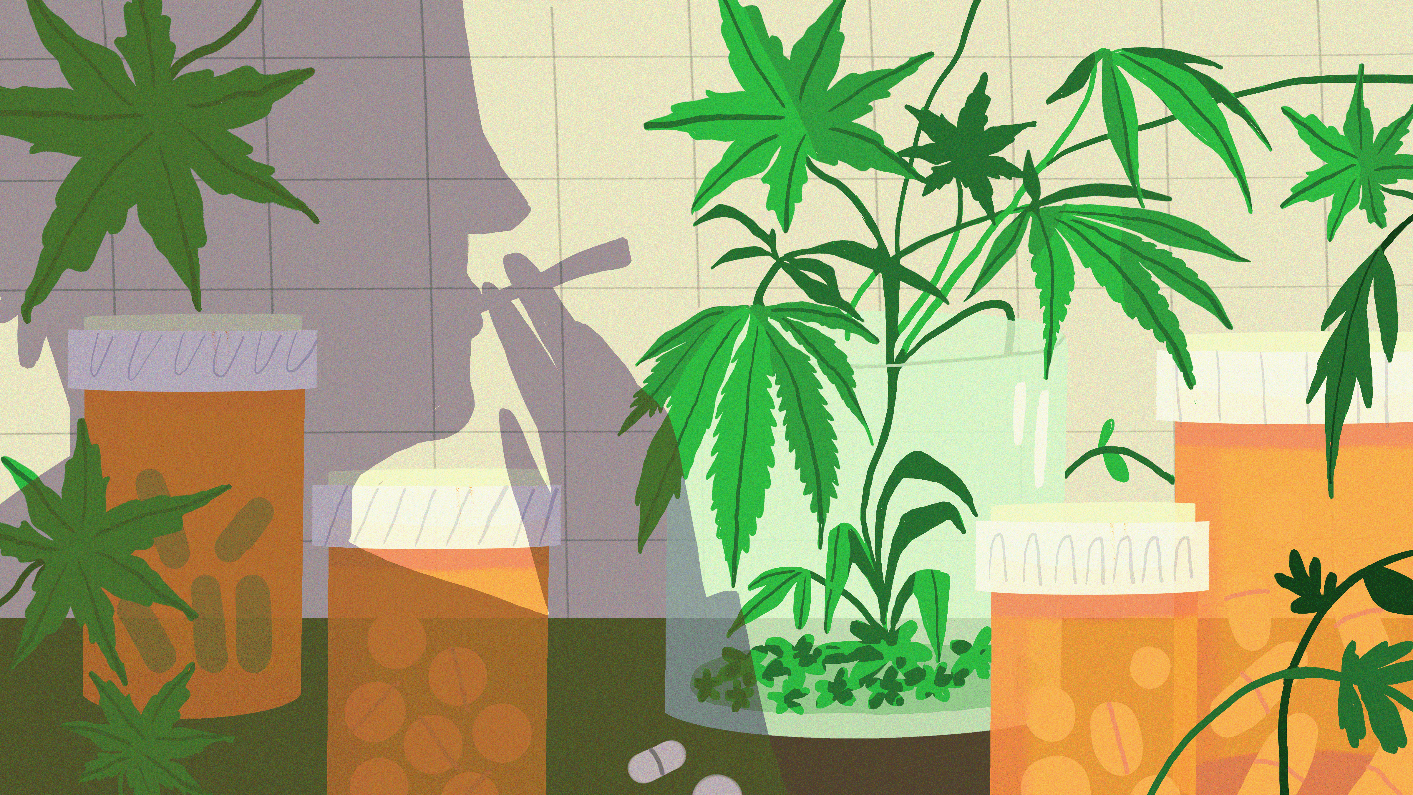 Medical_Marijuana_Stat_Final