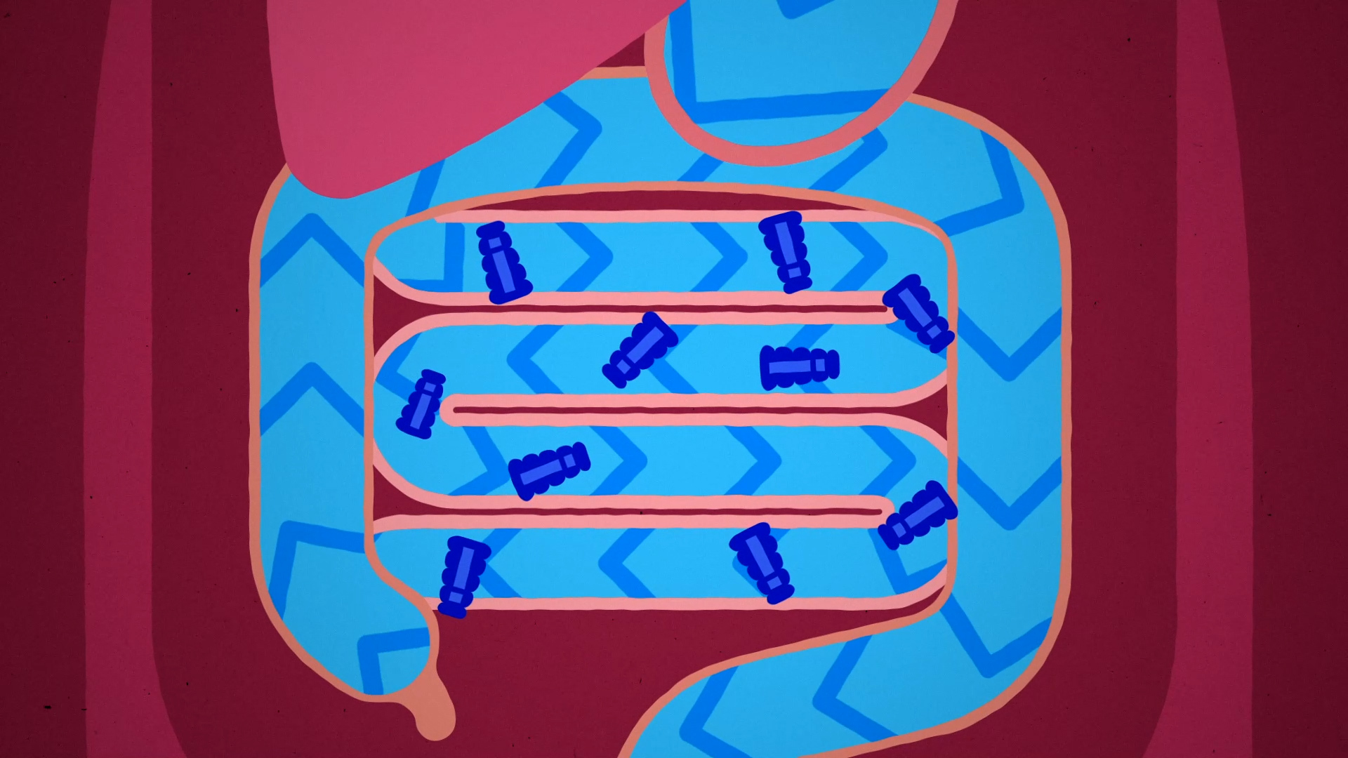 A illustrated video still of the intestines demonstrating how semaglutide drugs work in the body