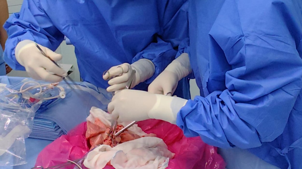 Surgeons perform the first lung transplant from a pig.