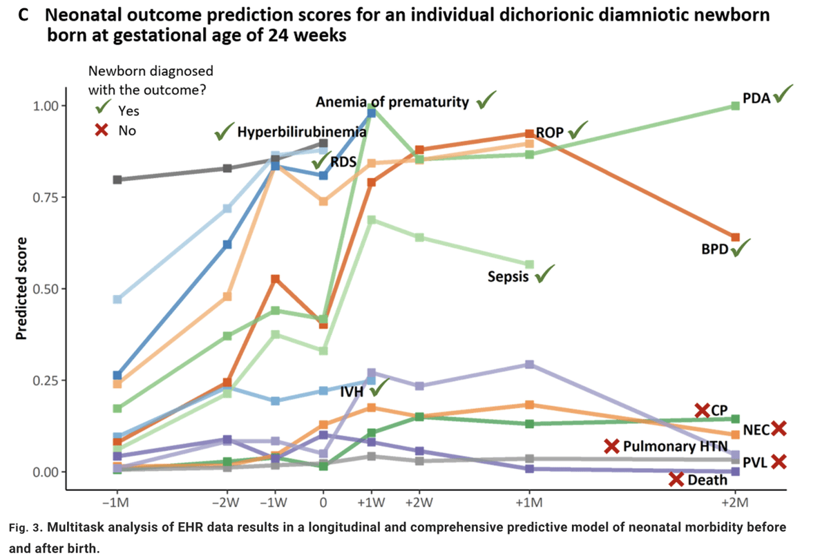 Screen Shot 2023-02-15 at 5.29.34 PM