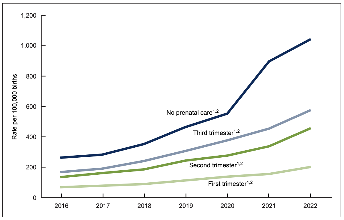 Screenshot 2024-02-12 at 2.53.14 PM