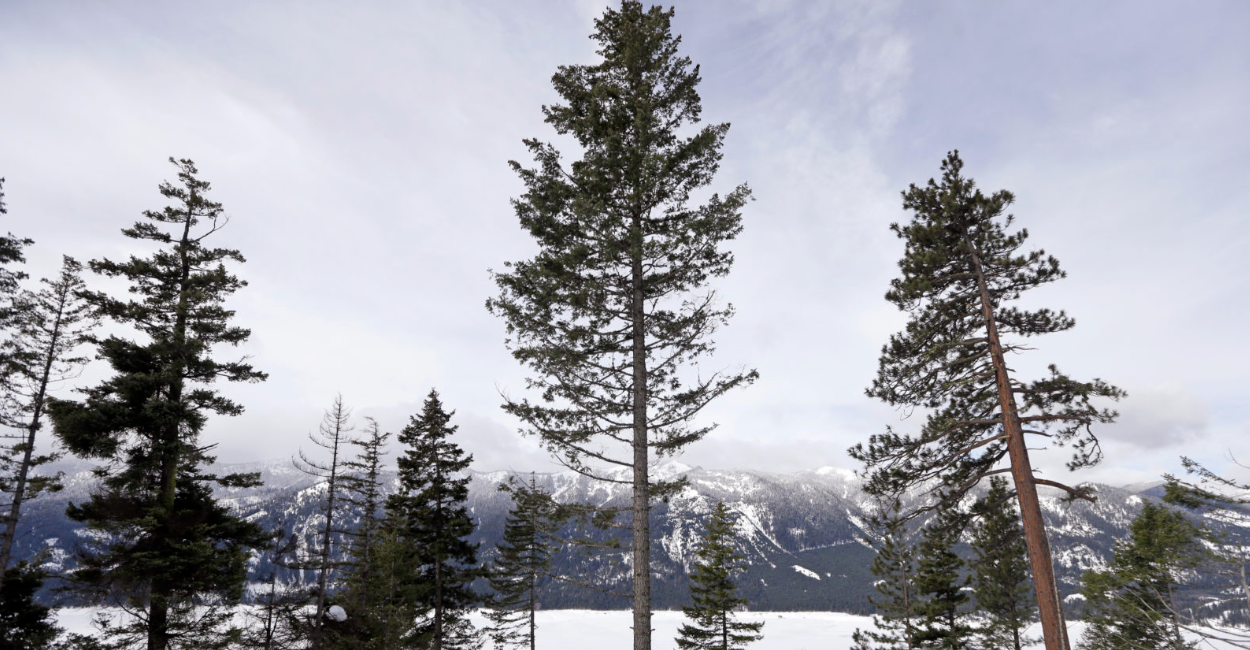 Screenshot 2025-10-19 at 6.20.34 PM