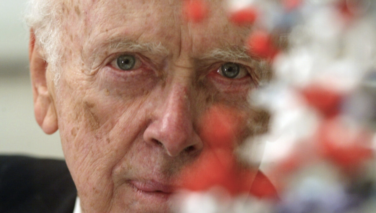 Screenshot 2025-11-09 at 4.35.25 PM