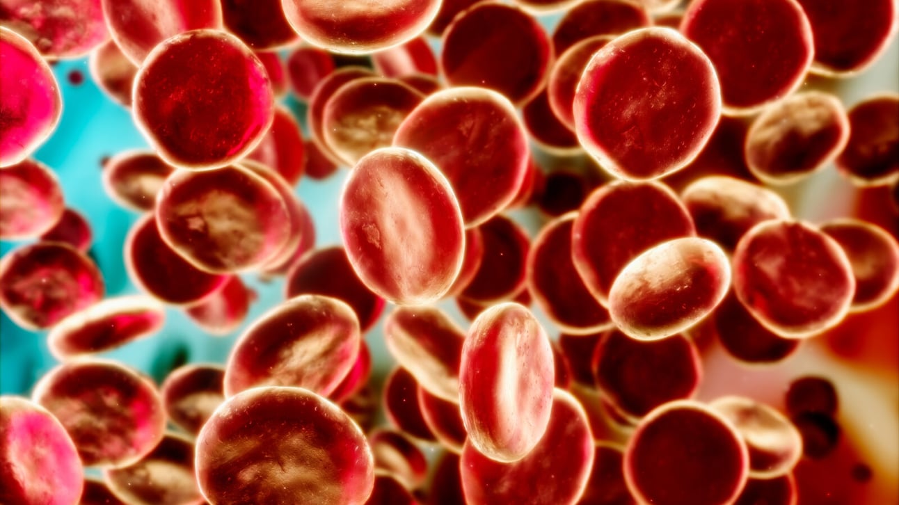 blood
