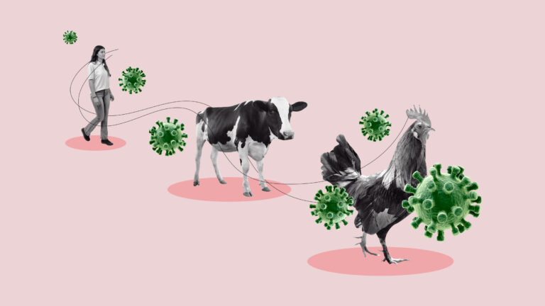 photo-illo-H5N1-messaging-768x432