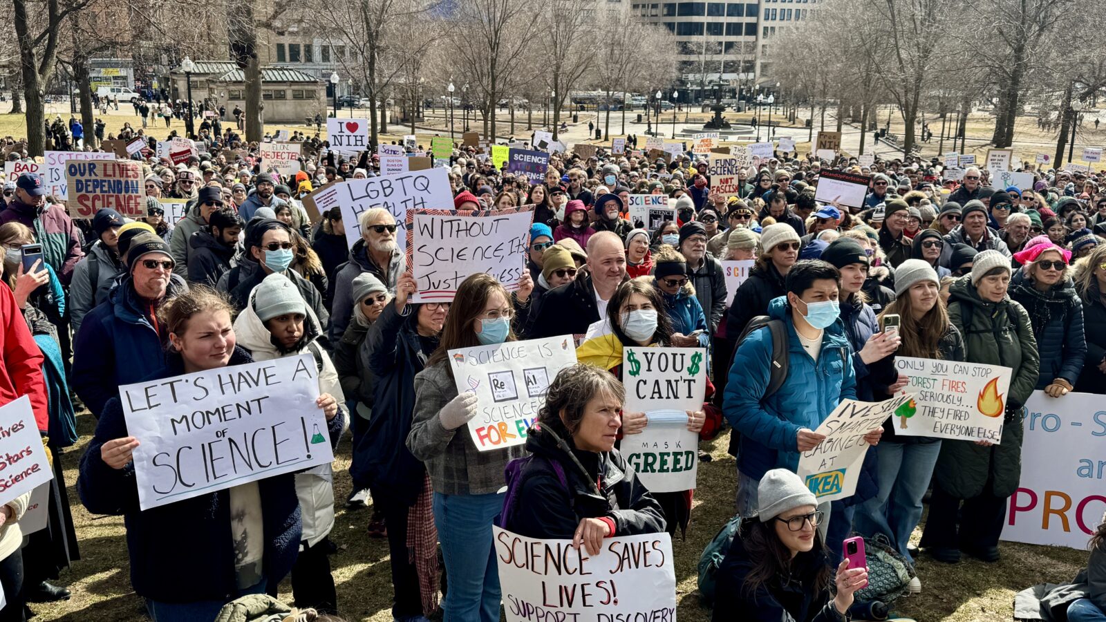 A crowd of protestors gathers at Boston Common. Some are masked, many hold signs with slogans promoting science and diversity.