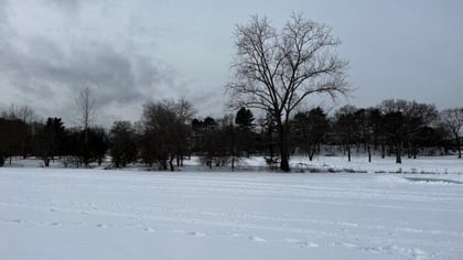 winter1-768x432